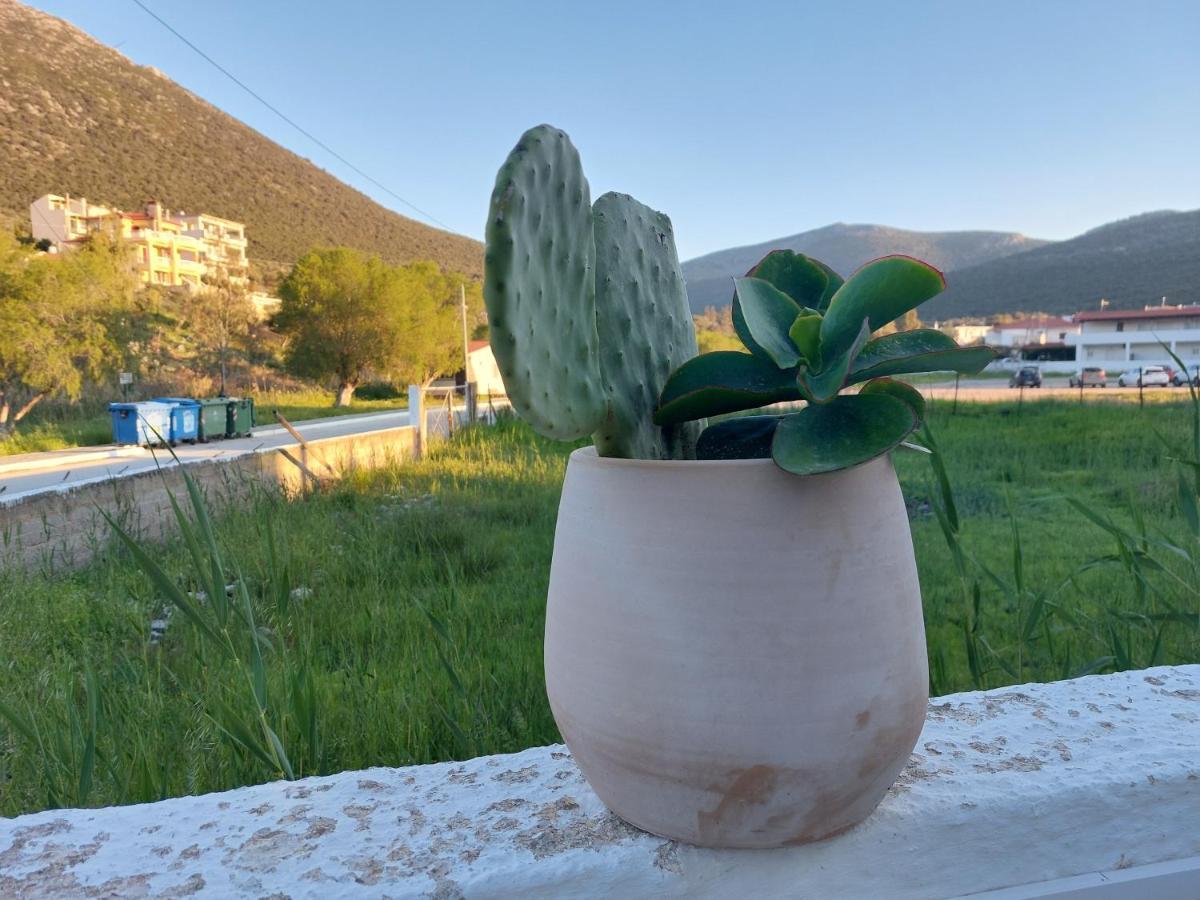 Vitamin Sea Apartment 4, Άνετο Διαμέρισμα. Almiropótamos Eksteriør bilde